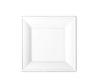 8inch-Square Plate