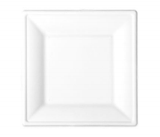 10inch-Square Plate
